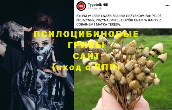 таблы Каменногорск