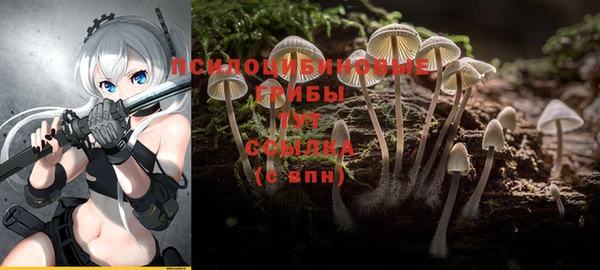 хмурый Каменск-Шахтинский