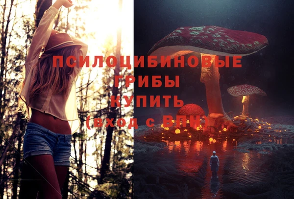 таблы Каменногорск