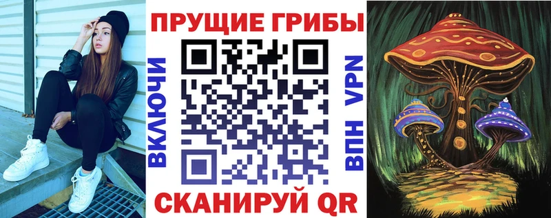 Купить закладки  Старая Русса  Галлюциногенные грибы прущие грибы 