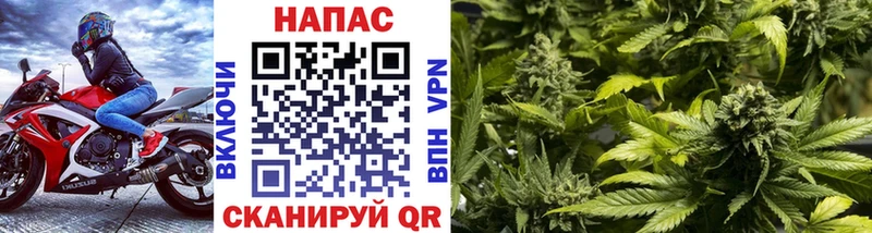 Бошки Шишки план  Купить где  Старая Русса 